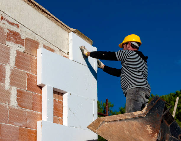 Best Insulation Maintenance and Repair in Paradise Hills, NM