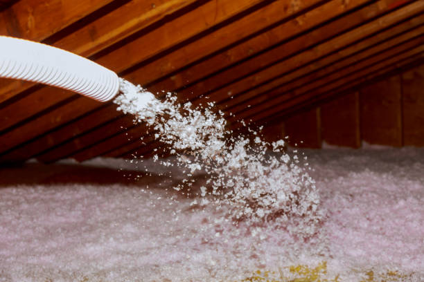 Types of Insulation We Offer in Paradise Hills, NM