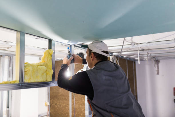 Best Eco-Friendly Insulation in Paradise Hills, NM