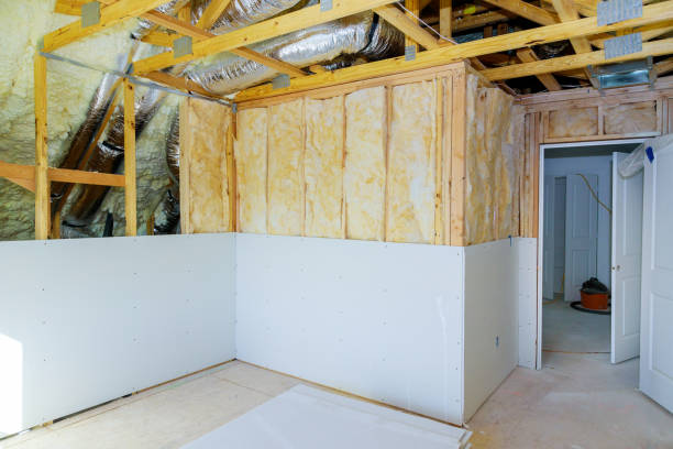 Best Specialized Insulation Services in Paradise Hills, NM