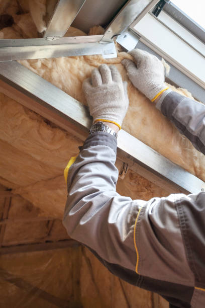 Best Geographic-Specific Insulation Services in Paradise Hills, NM