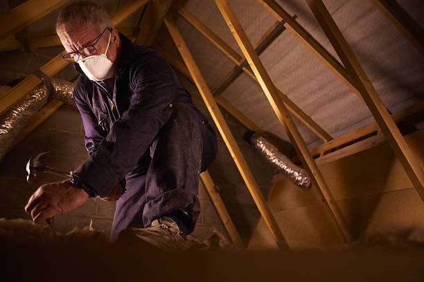 Best Residential Insulation in Paradise Hills, NM
